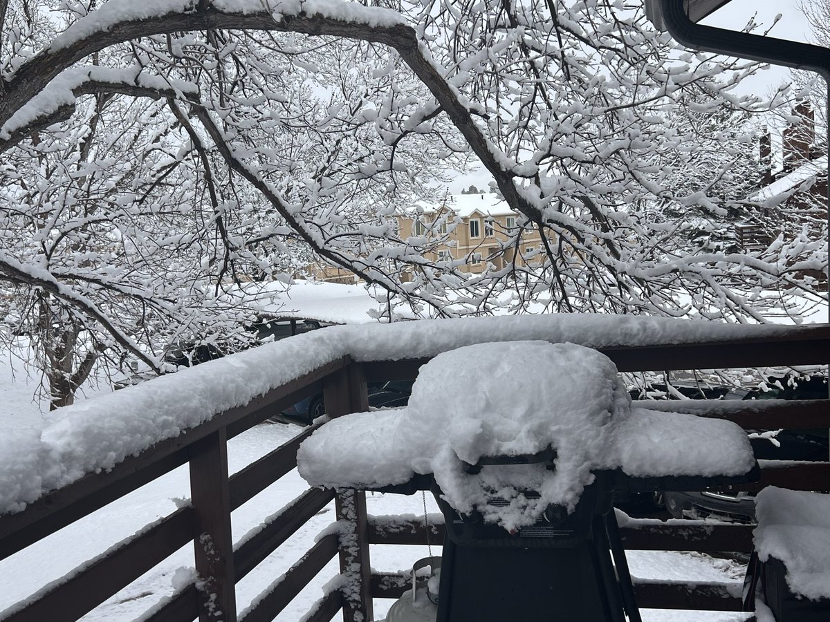 pwkavanaugh's tweet photo. @kodythewxguy Nice precipitation week!
Two storms Westside of Colo Spgs 
M0.94” for the first event
M5.8” snow, M0.45 melted yesterday’s snow
Total from the two storms M1.39 #cowx https://t.co/nRgtjMBVap