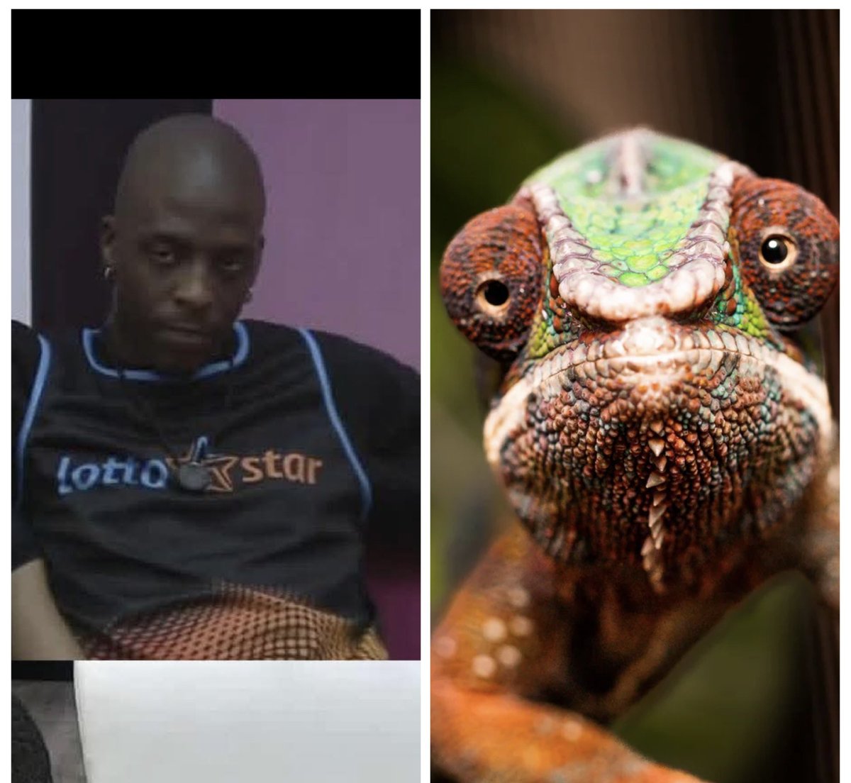 MissMixy's tweet photo. Can’t unsee it 👀 #BBMzanziS6 https://t.co/klzMgIvkWN