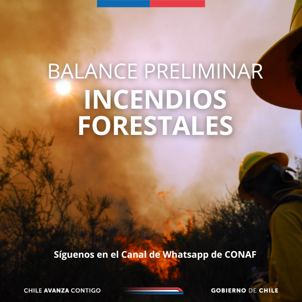 CONAF - Corporación Nacional Forestal tweet media