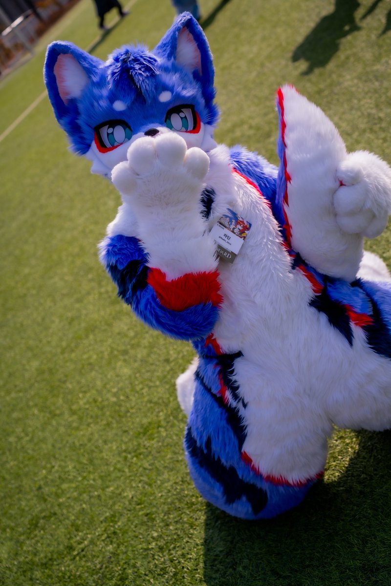 라딘_Radin tweet media