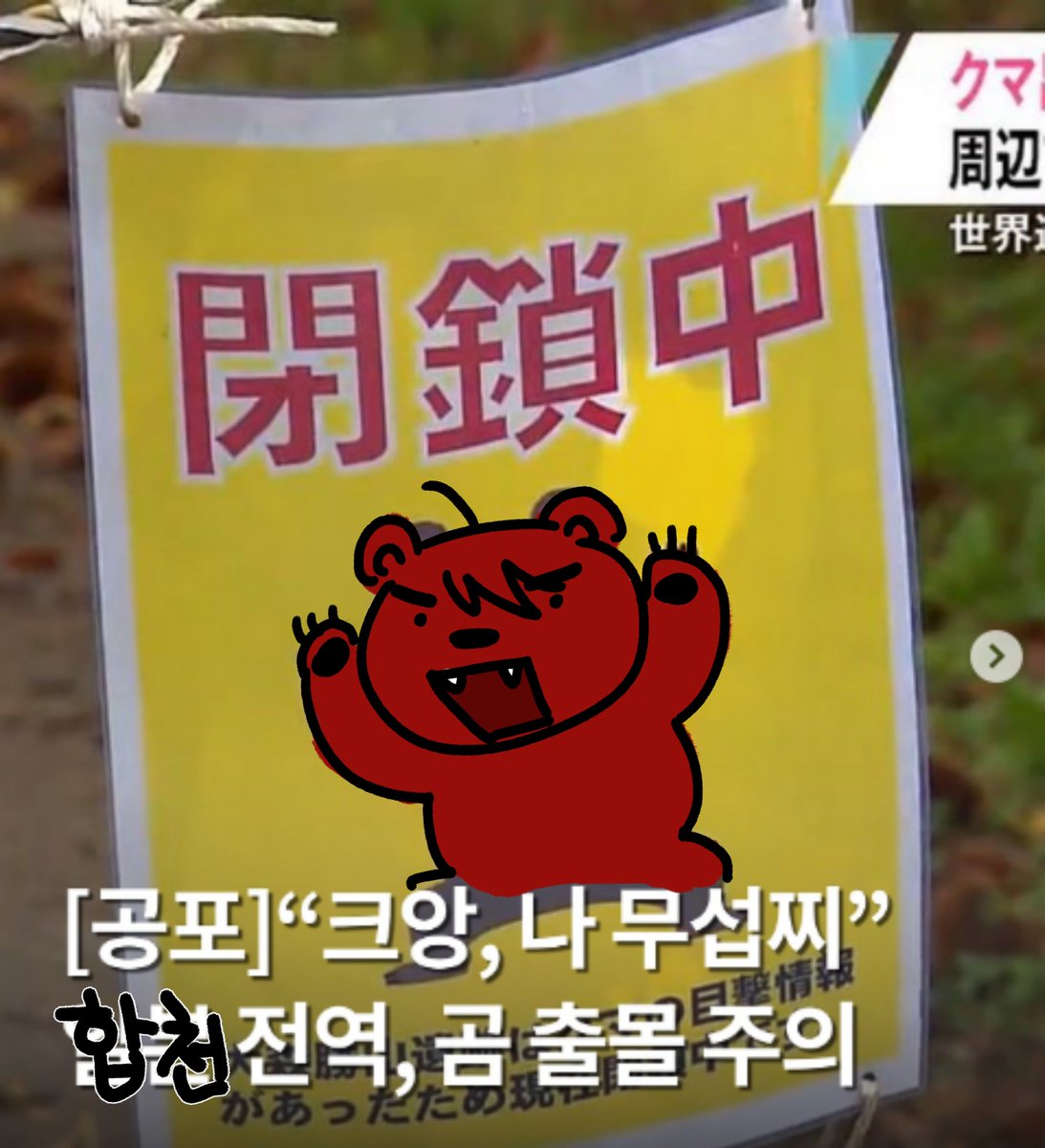 메인트! 곰문곰문 변두식 tweet media