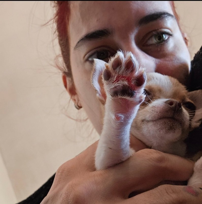 Cinthia Ponce|ᴺᶠᵀ tweet media