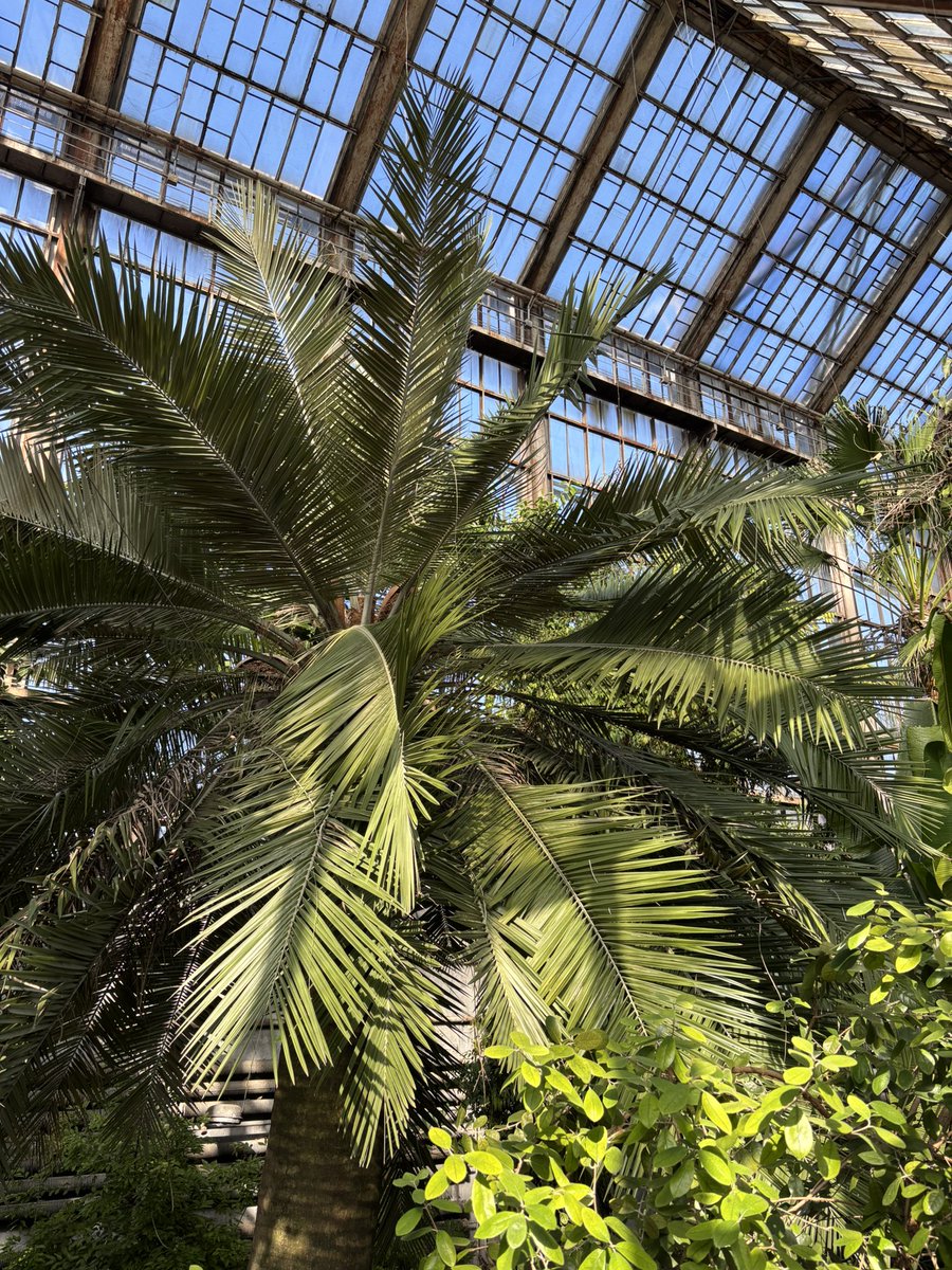 Марк Тфен🇺🇦 tweet media