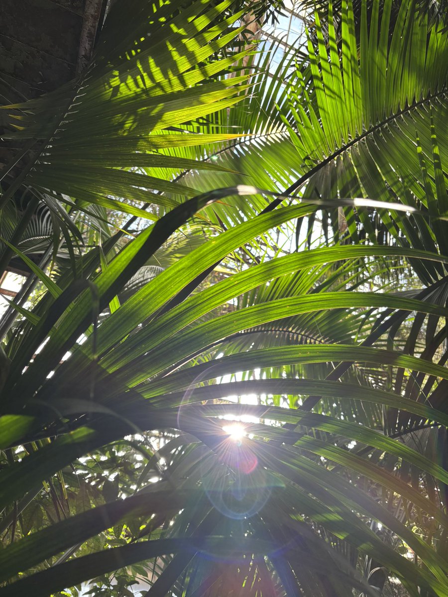 Марк Тфен🇺🇦 tweet media