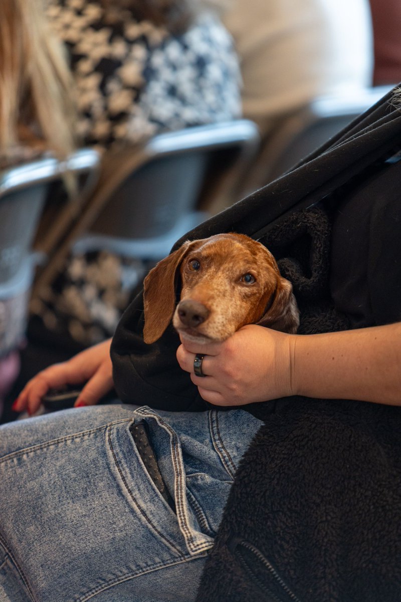 CreativeMornings/Austin tweet media