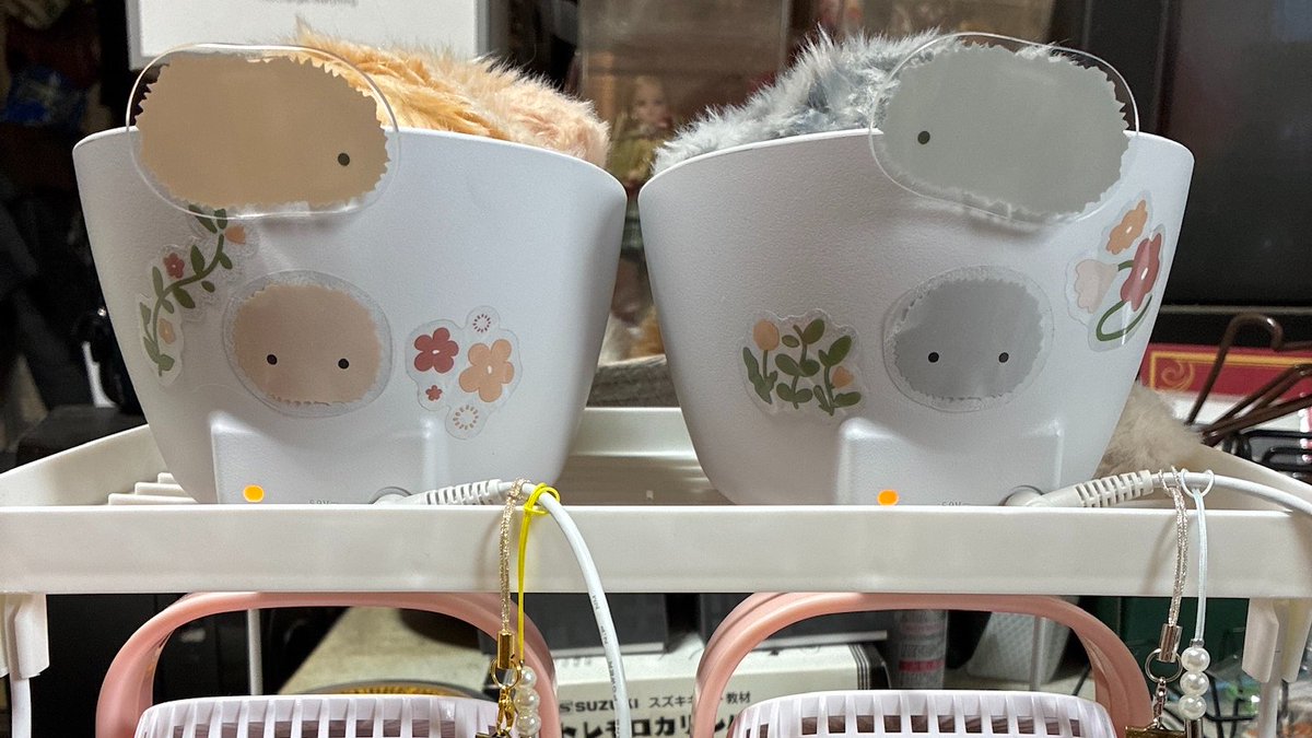 φ田π子＠ごな&えこ＆すぅぼ&ごかぁる主 tweet media