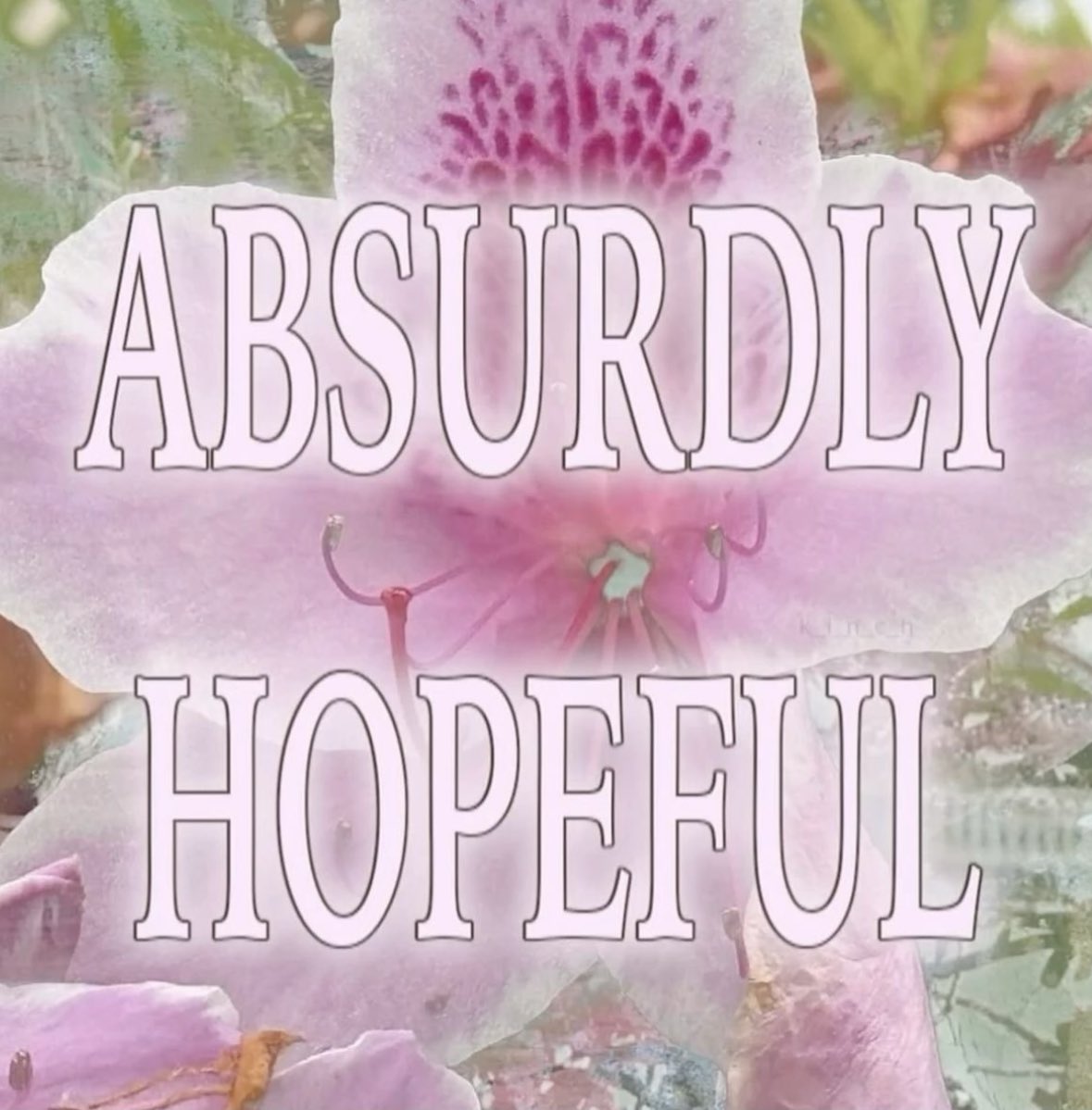 ✧ (@northstardoll) on Twitter photo 