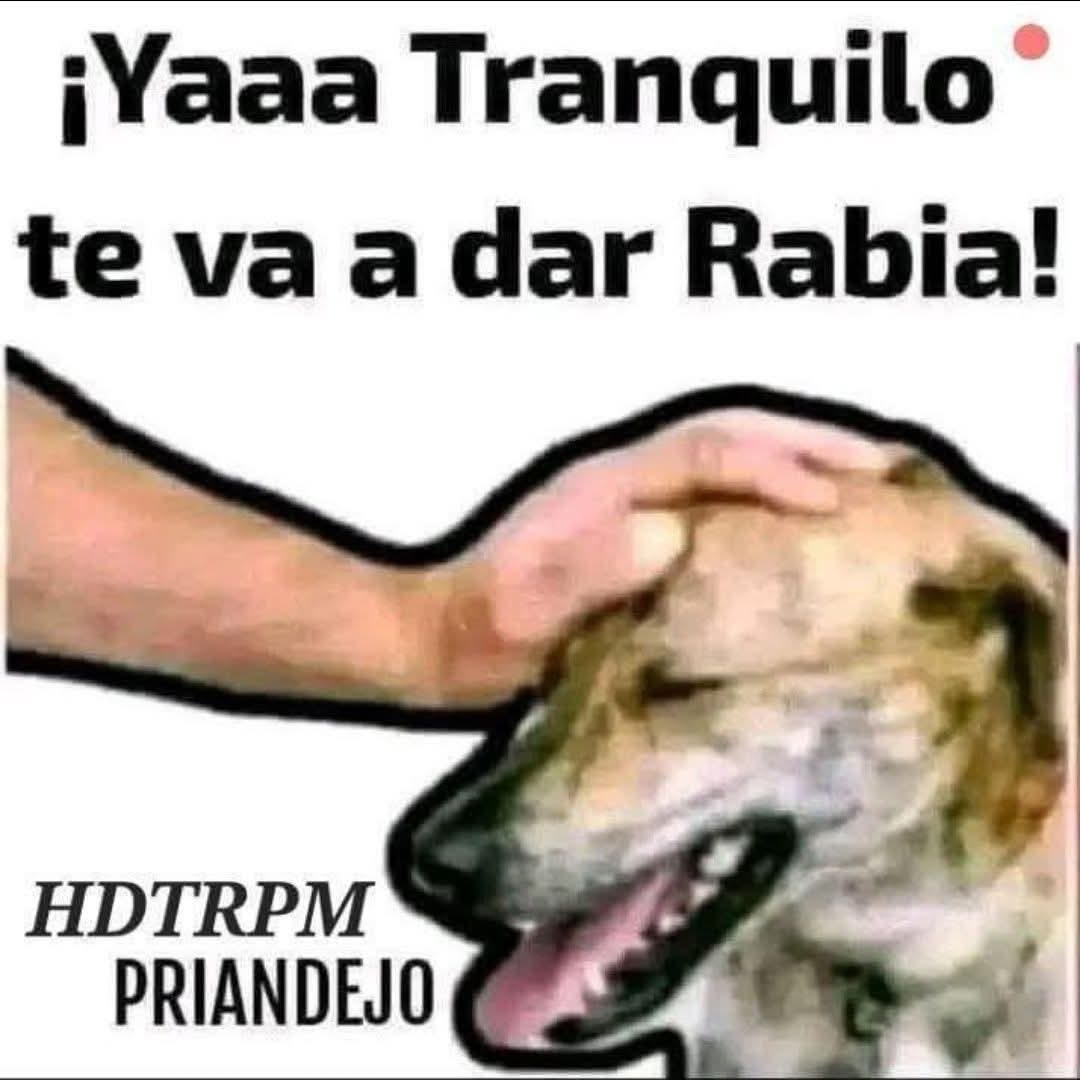 Eliolopez64's tweet photo. @pedroferriz3 https://t.co/0C4Cou6E2A