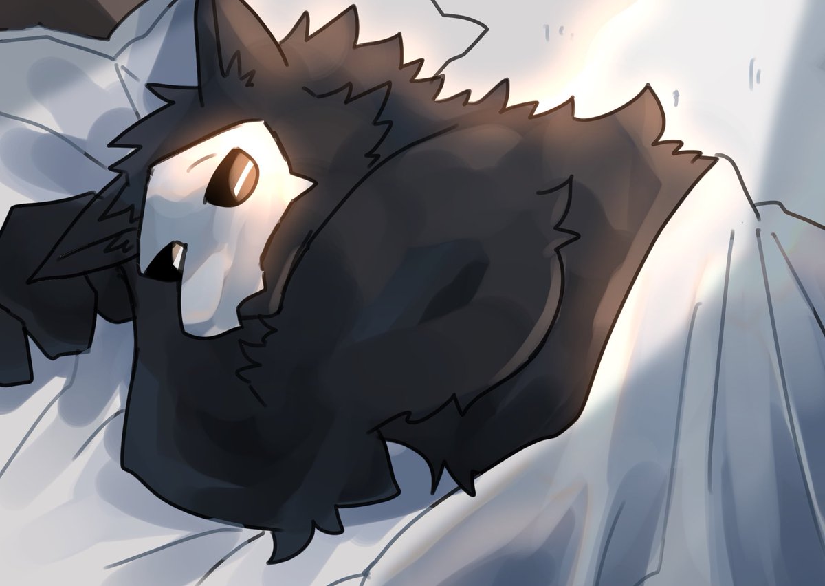 Guin🦈 tweet media