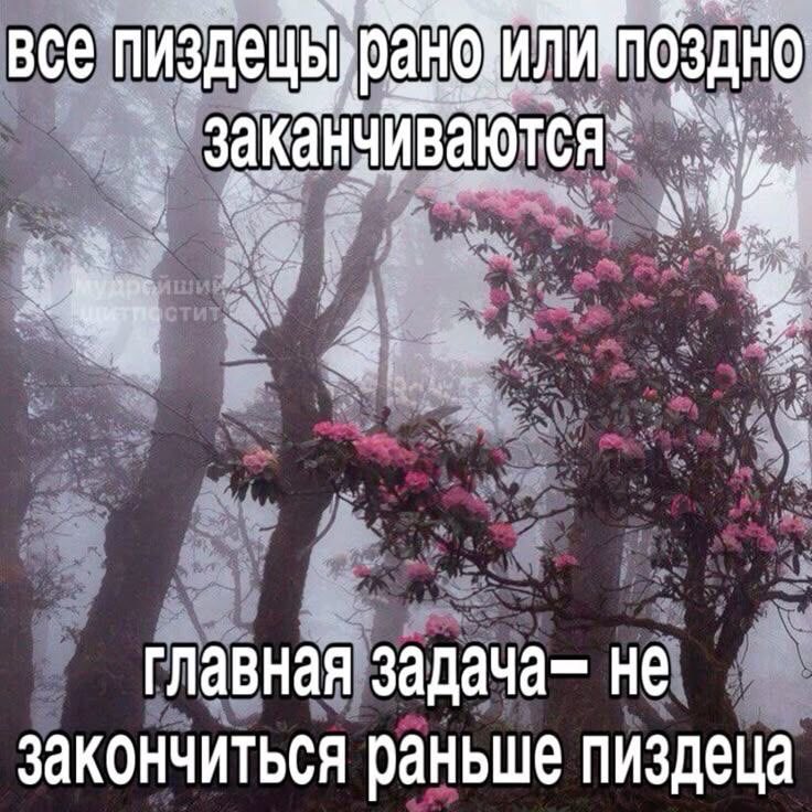 К И Б Е Р Ж Р И Ц А tweet media