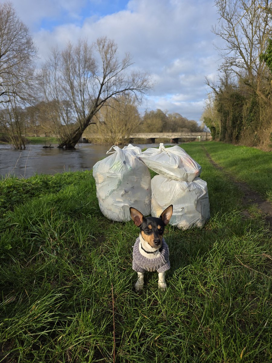 respecting nature tweet media