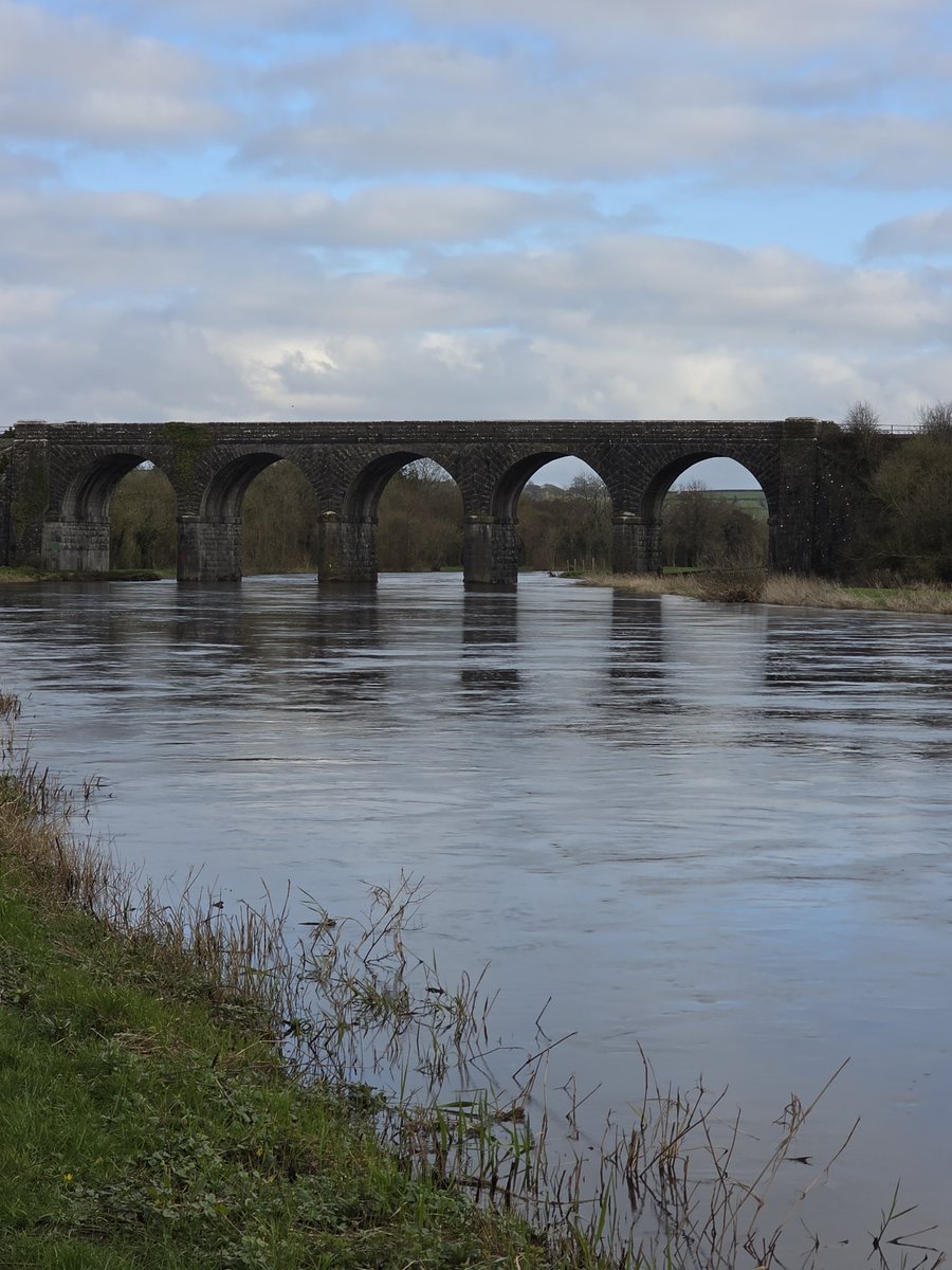 respecting nature tweet media