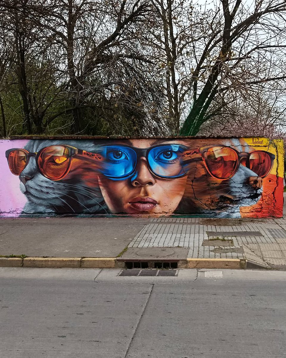 🧑🏼‍🎨 ADRIAN📍Santiago, Cile 🇨🇱 
StreetArt