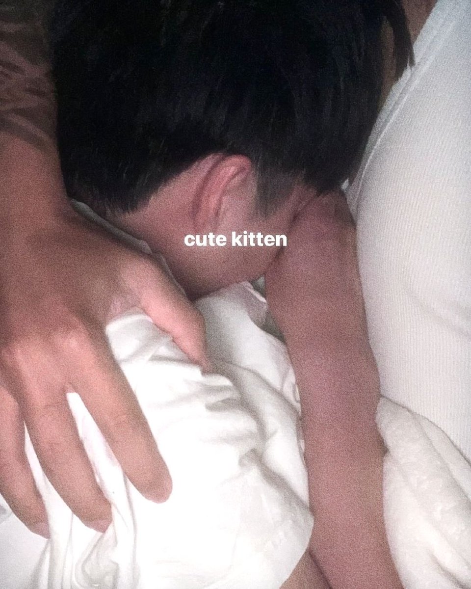 Viscouhnt's tweet photo. Always his favorite place to sleep, snuggle on his papa’s chest, his favorite pillow. @avedababie Indeed a cute kitten, my cute kitten. https://t.co/7E7TUz5aUK