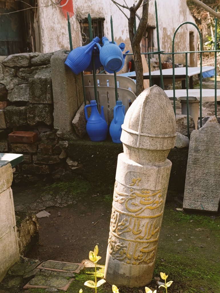 Fatih Dalgalı tweet media