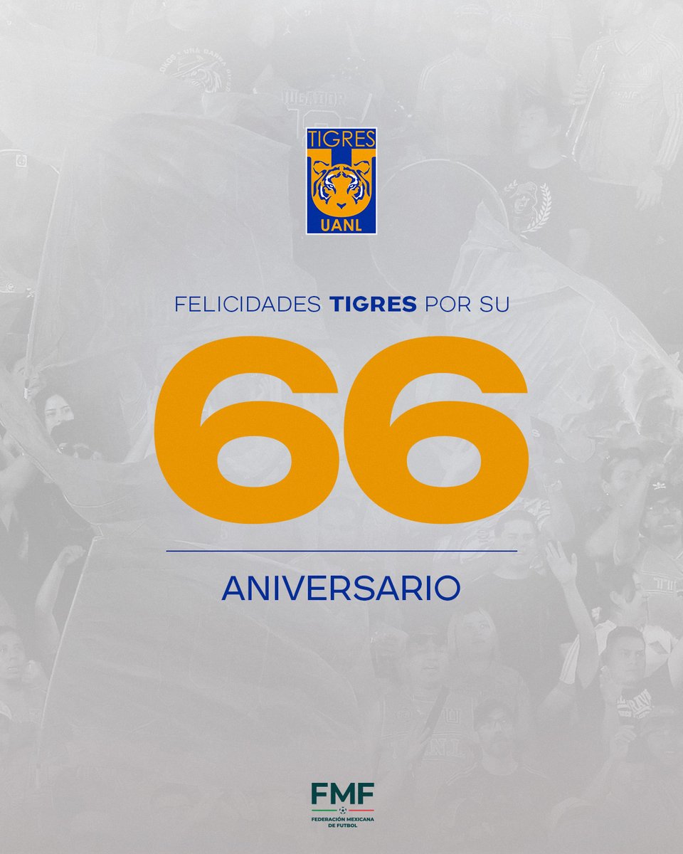 Federación Mexicana de Futbol tweet media