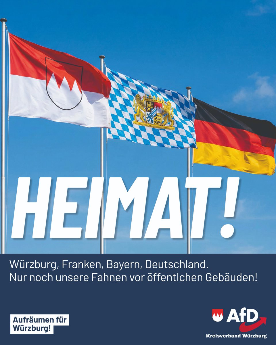 Daniel Halemba tweet media