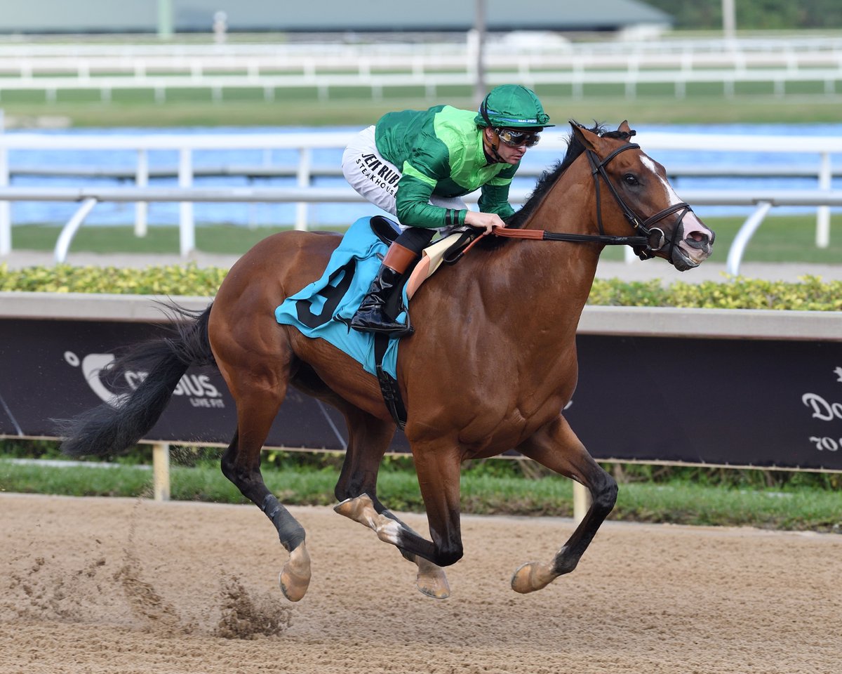 America'sBestRacing tweet media