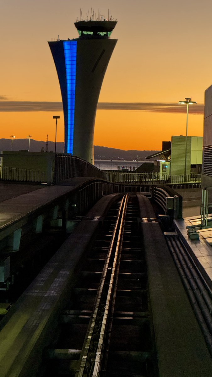 Todd Sanders tweet media