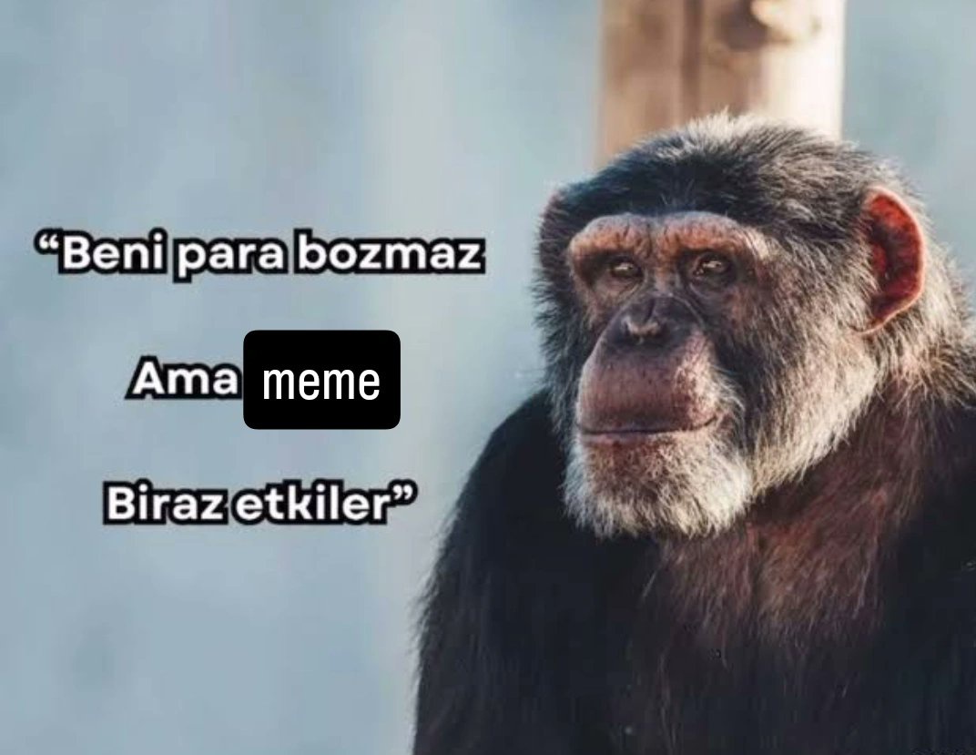 Captain Price #YasalSilahlanma tweet media