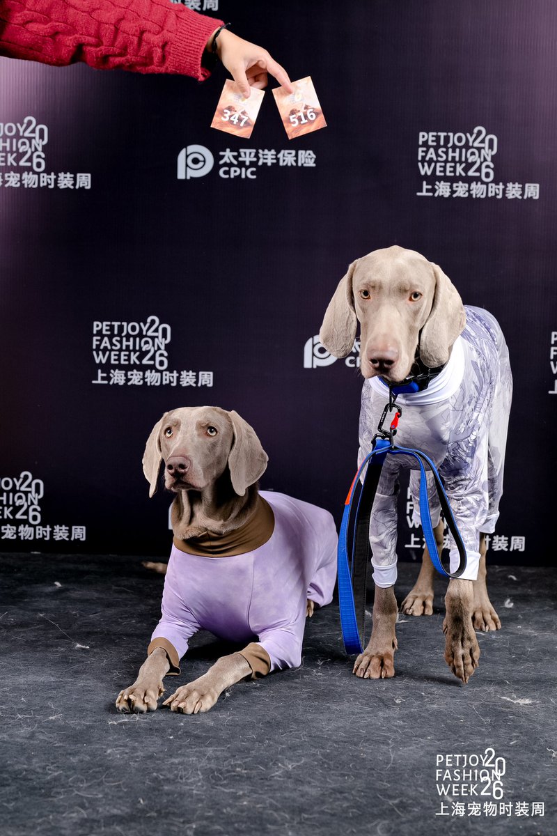 dogadogo2023's tweet image. Dogs literally surrounded our booth today 🐶

At the Shanghai Pet Fashion Week casting,
DGDG’s new spring four-leg suits made their first appearance —
and suddenly everyone was stopping to look and take photos.

#DGDG #DOGADOGO #PetFashion #DogClothes #PetStyle #PetFashionWeek