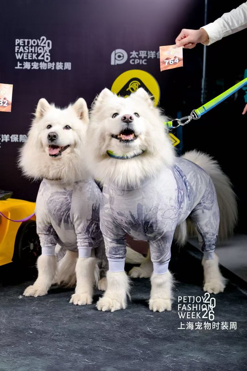 dogadogo2023's tweet image. Dogs literally surrounded our booth today 🐶

At the Shanghai Pet Fashion Week casting,
DGDG’s new spring four-leg suits made their first appearance —
and suddenly everyone was stopping to look and take photos.

#DGDG #DOGADOGO #PetFashion #DogClothes #PetStyle #PetFashionWeek