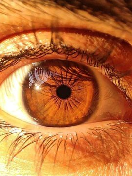 Jessica R tweet media