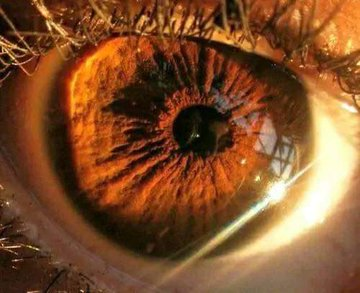 Jessica R tweet media