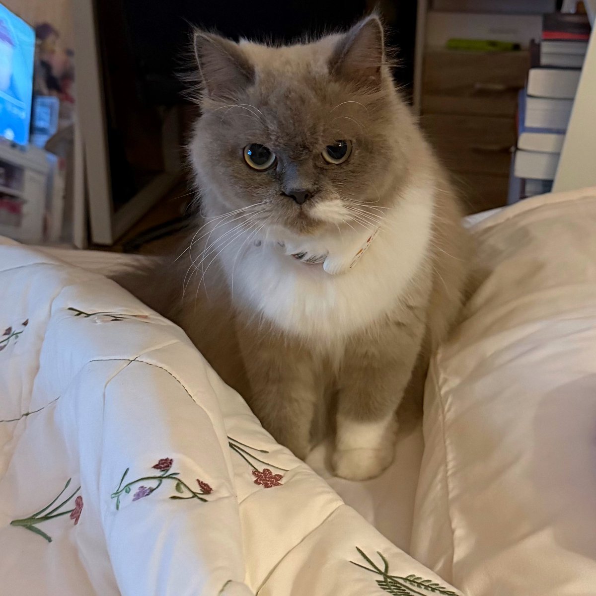 muka habis ditinggal nongkrong 12 jam 🙏🏻