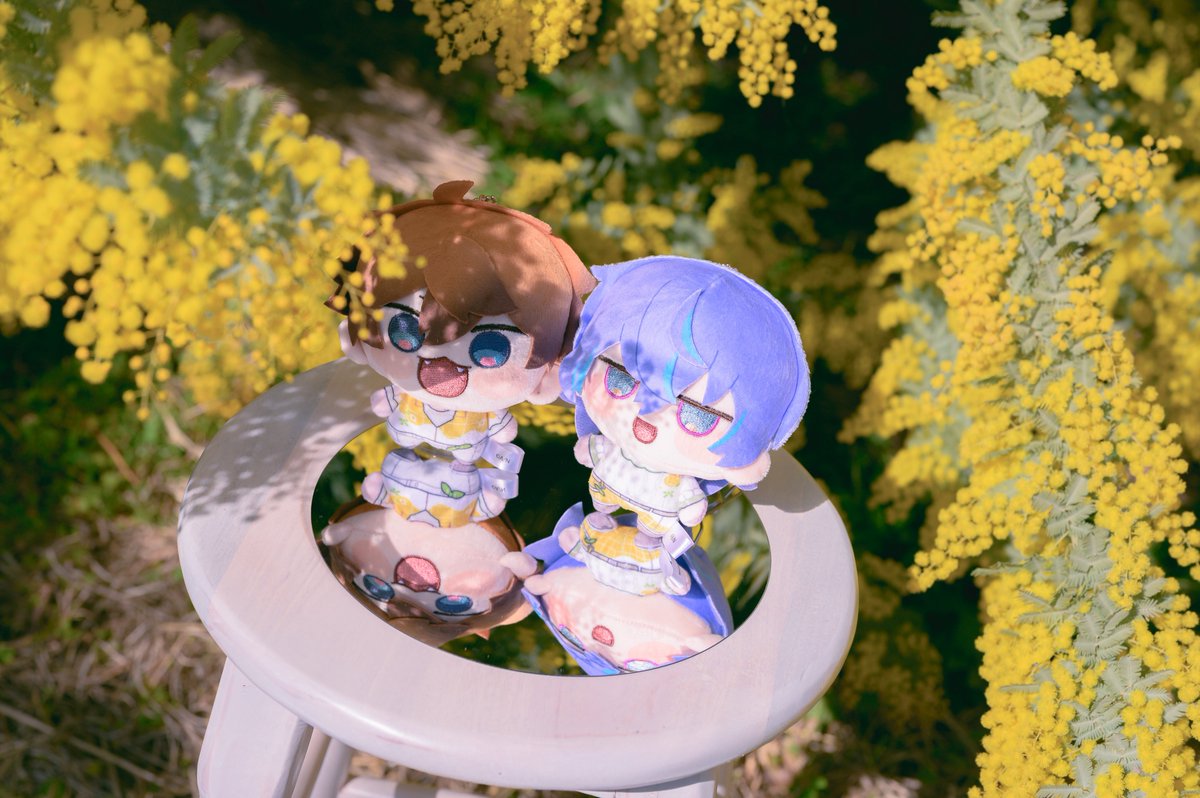 3/8は🌼🌼🌼🌼
