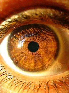 Jessica R tweet media