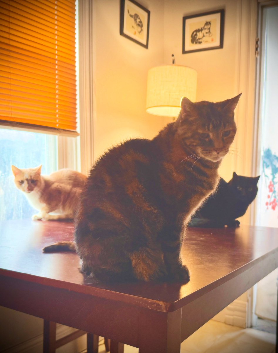 Andrew Hilary🇵🇸 tweet media