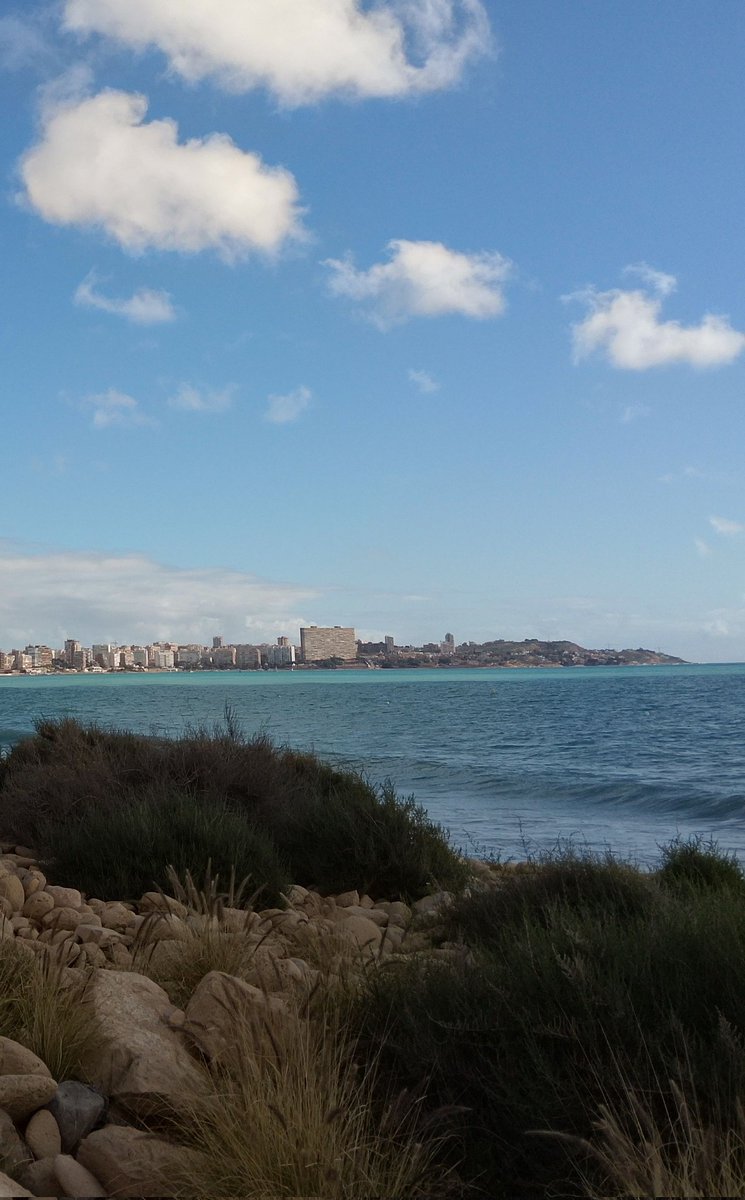 My saturday mornings