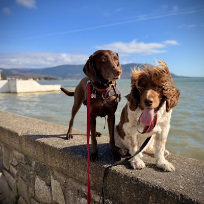 MuddyandMiley's tweet photo. #NewProfilePic https://t.co/PGpasWGFvN