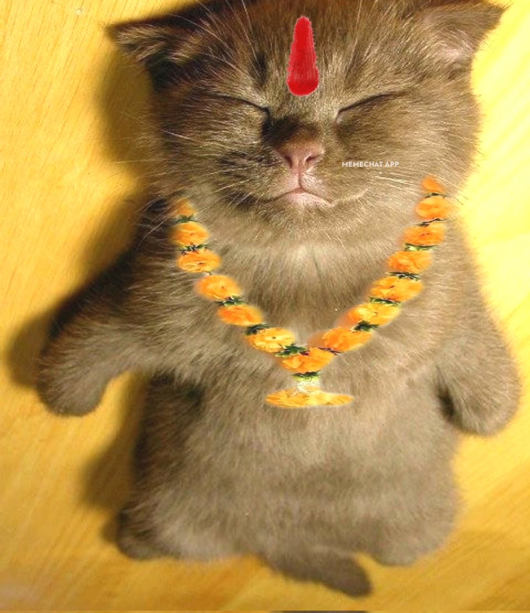 Sahiiiil Kanojia :) tweet media