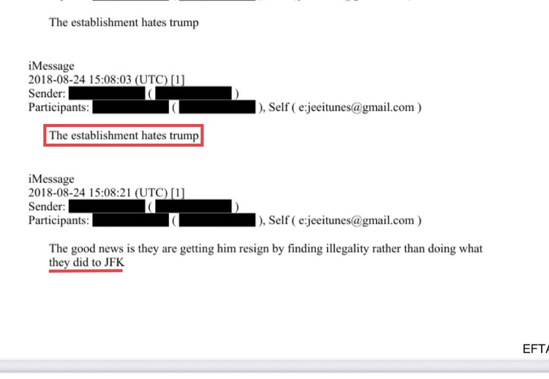 Lion In The Night tweet media