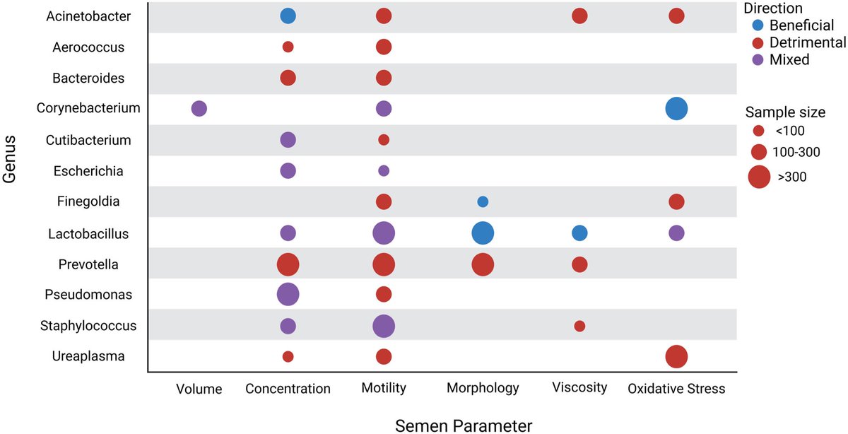 Scott Lundy MD PhD HCLD tweet media