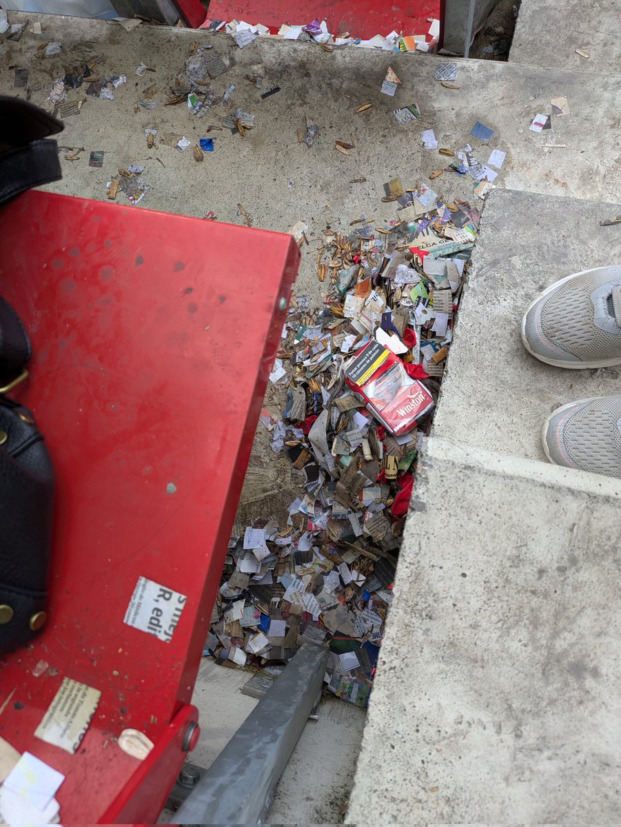 Deyaaaa🌸 tweet media