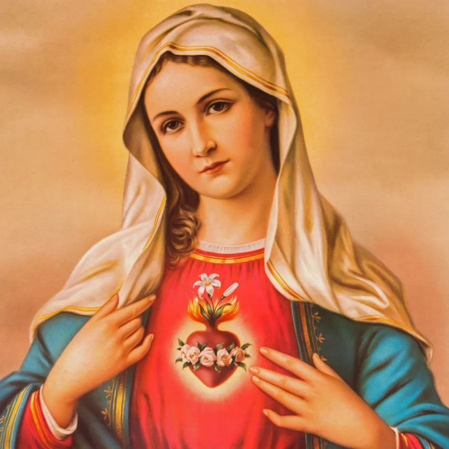 SW Prayer tweet media