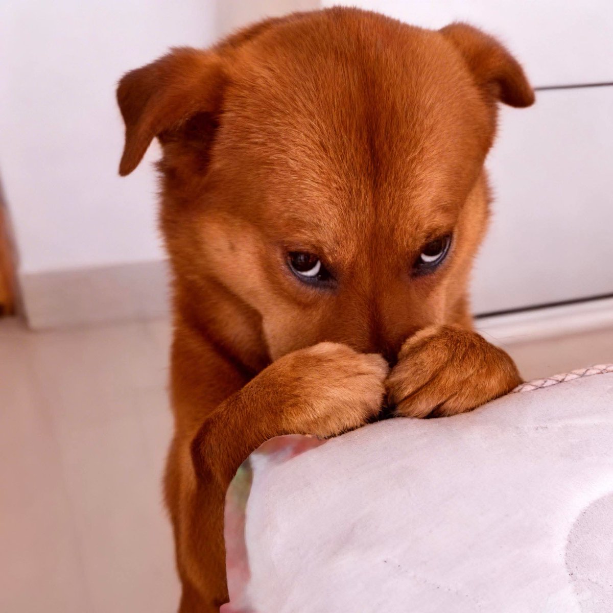 #SabadoDeRelacionesTóxicas
<a href="/DenDeLaFuentee/">Den de la fuente</a>

Psicólogo: Solo faltó que le prestaras dinero 

Mi cara: