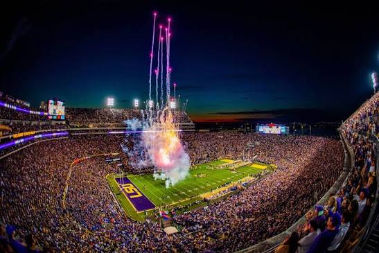 Rocket Walverine tweet media