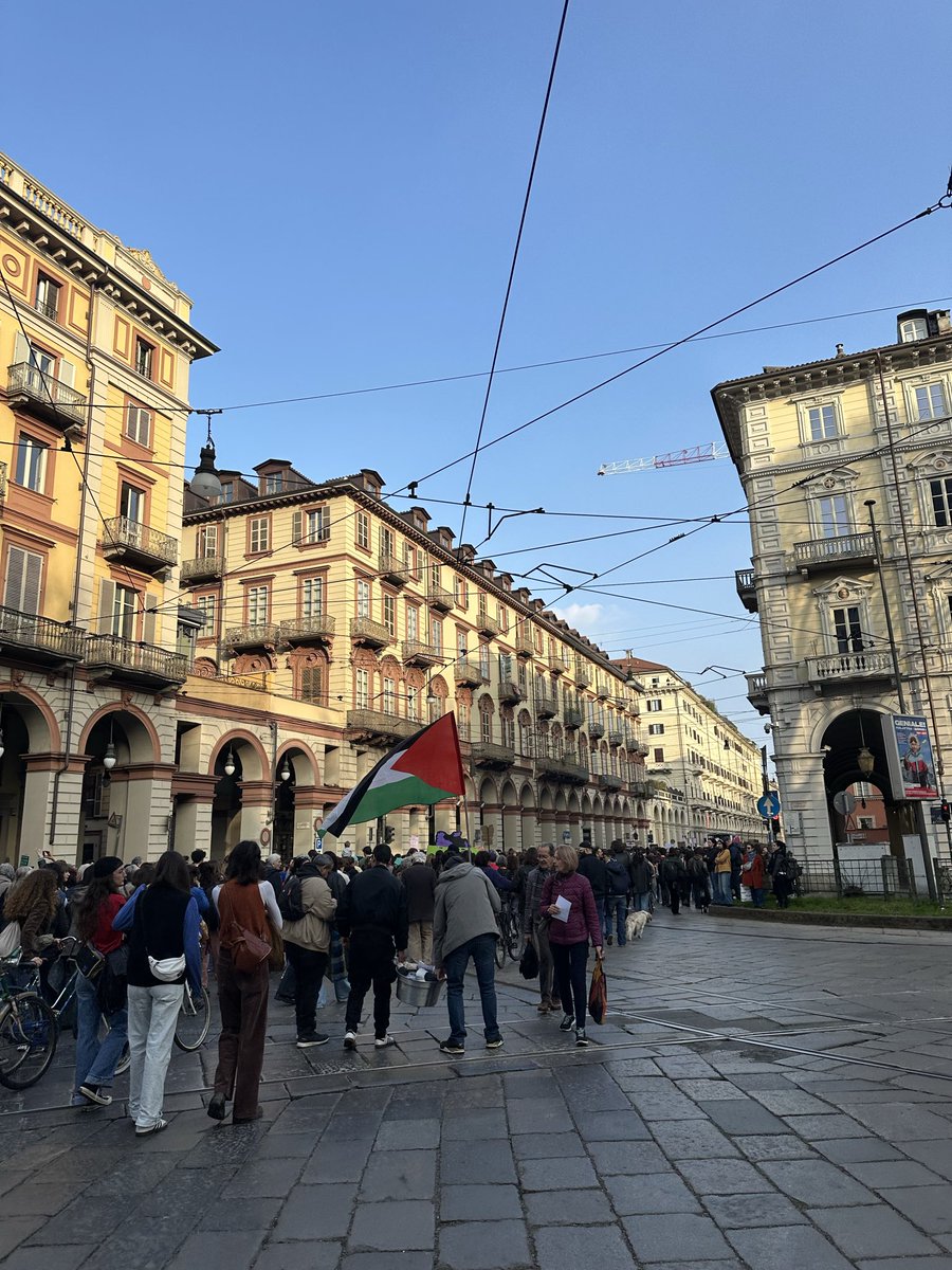 سهرنگ بهرابی🔻 tweet media