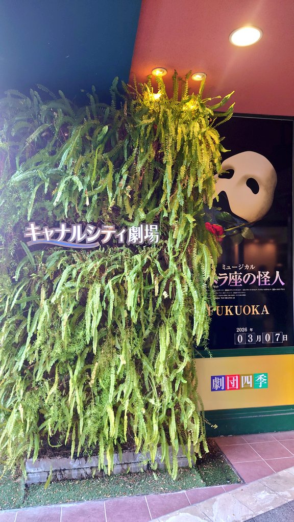 ちゅぱこ tweet media