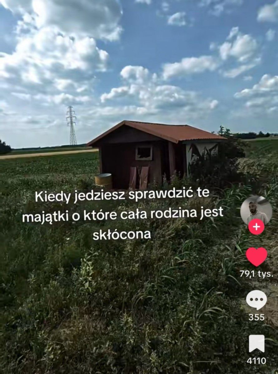 donald.pl tweet media