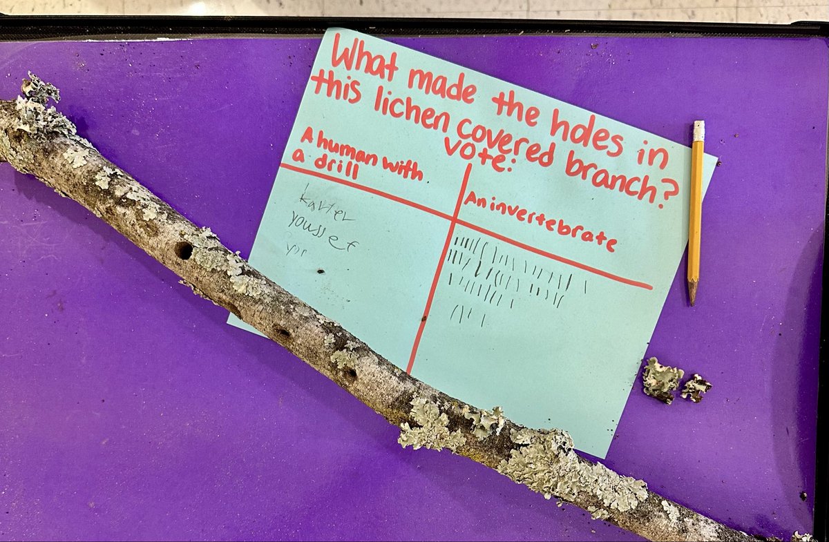 Caitlin Sabers tweet media