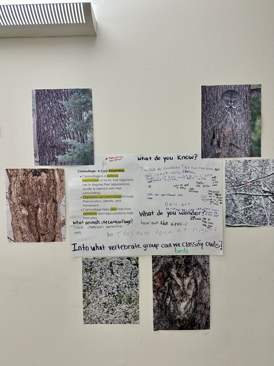 Caitlin Sabers tweet media