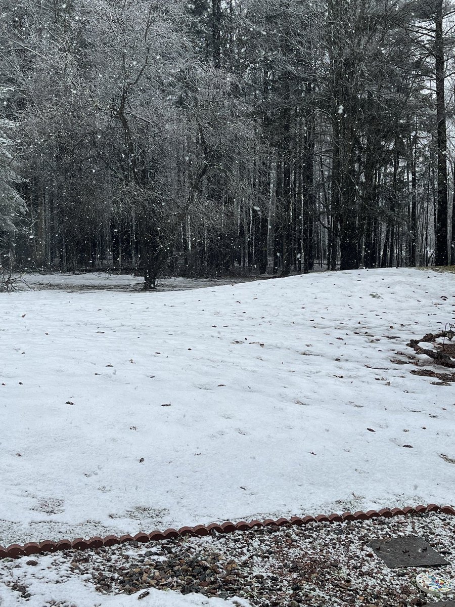 Tyler Mickelson tweet media