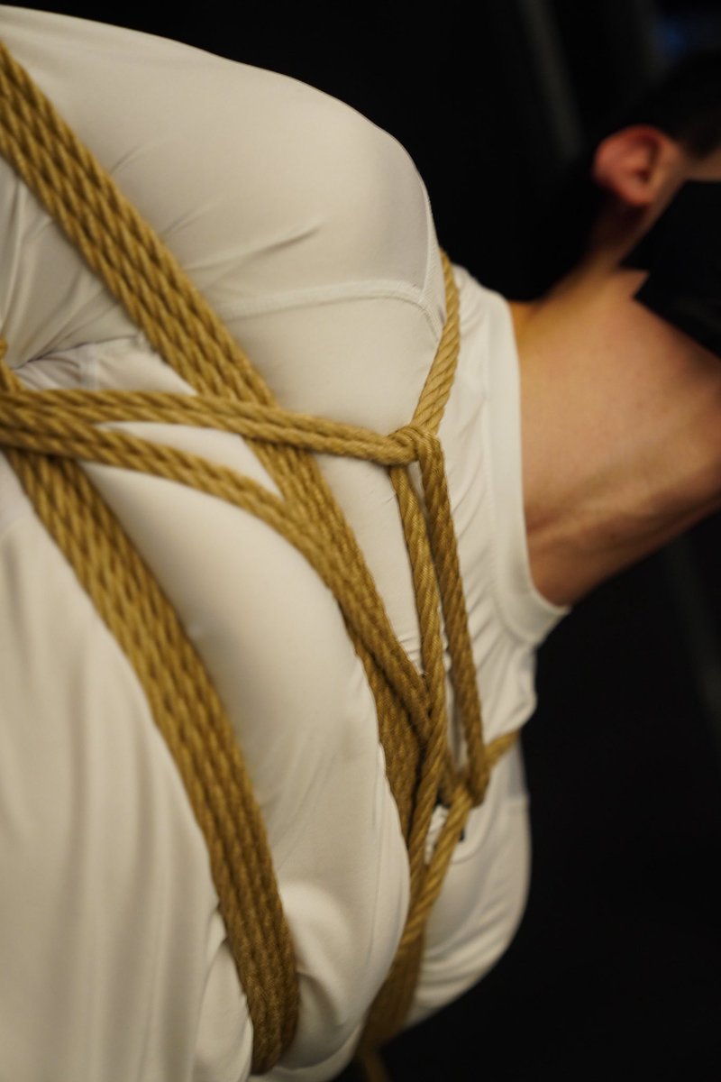 Harbinger tweet media