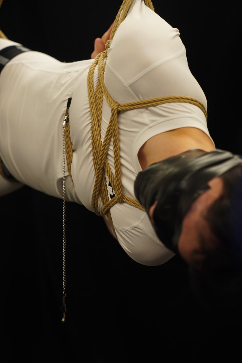 Harbinger tweet media