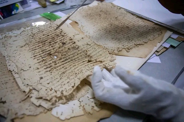 citmaciego tweet media